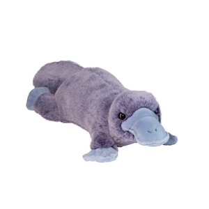 Allie the Platypus